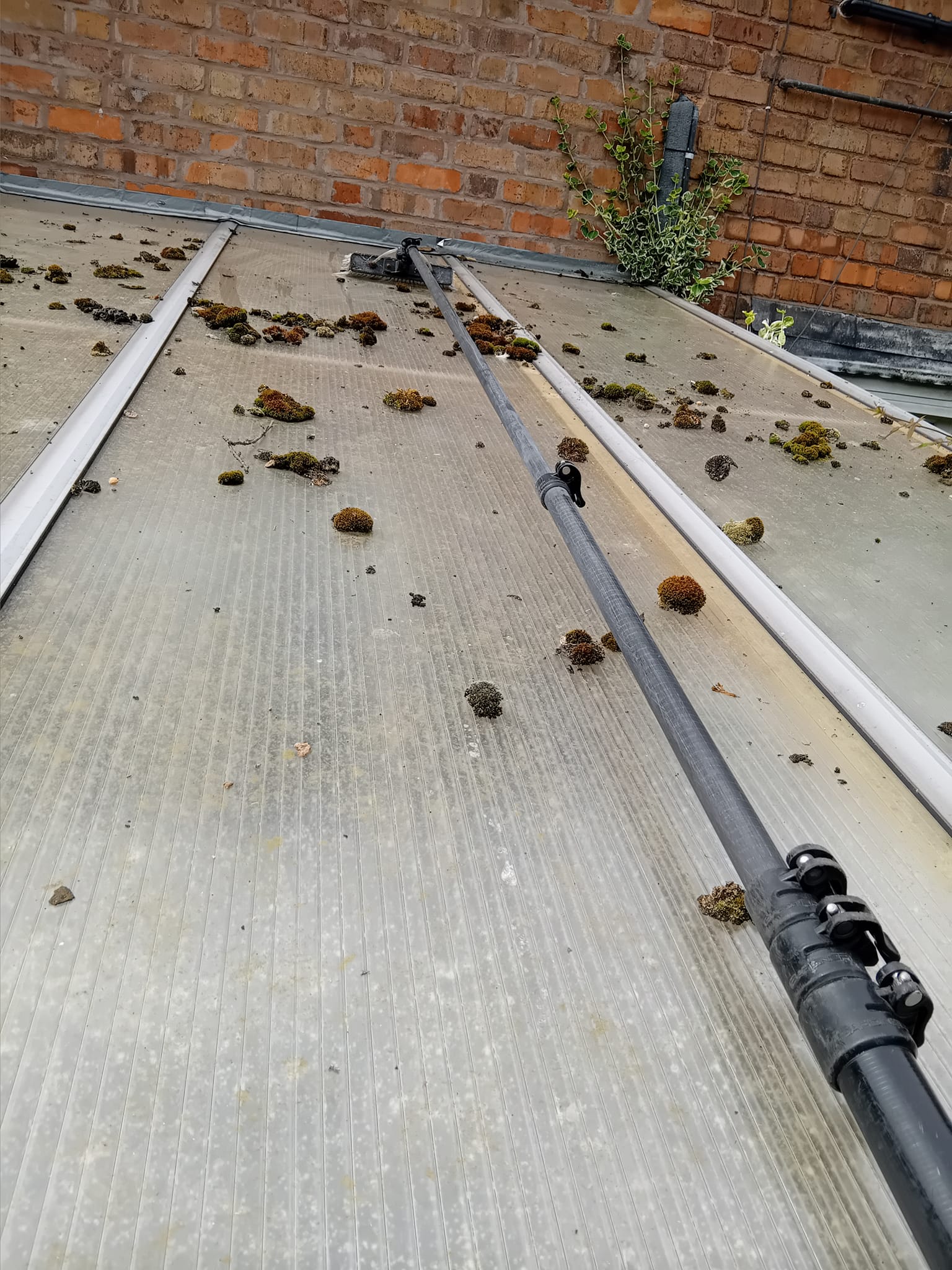 cleaning conservatory roof